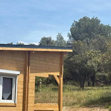 Chene-pin * 博腾纳克